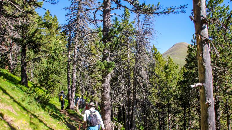 Walking in Andorra