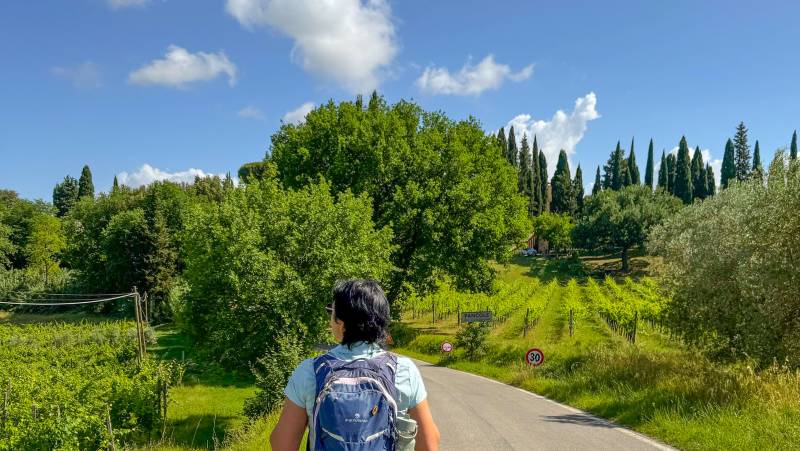 Tuscany walks and Chianti Wines