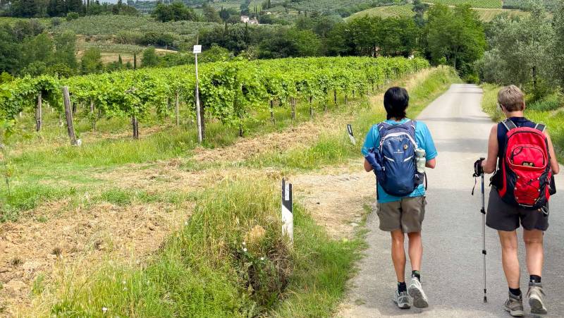 Tuscany walks and Chianti Wines