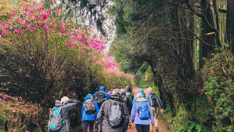 Azores Adventure