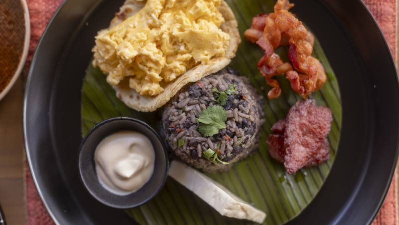 Signature Costa Rica | Where the Wild Answers