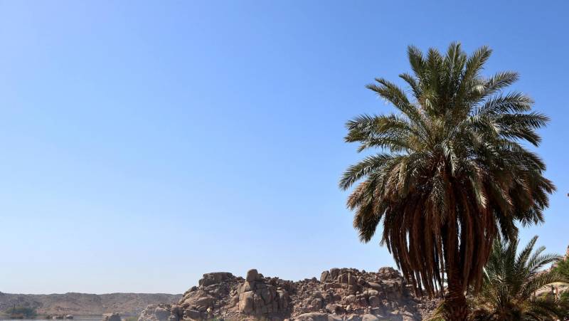 Signature Egypt | Spirit of the Nile
