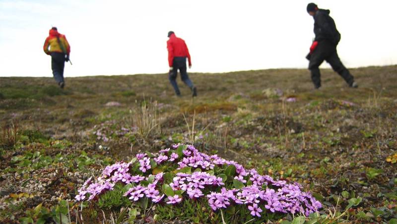 Svalbard Arctic Adventure – Polar Summer