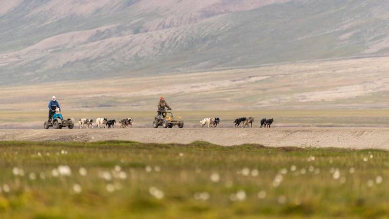 Svalbard Arctic Adventure – Polar Summer