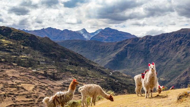 Lares Trek to Machu Picchu