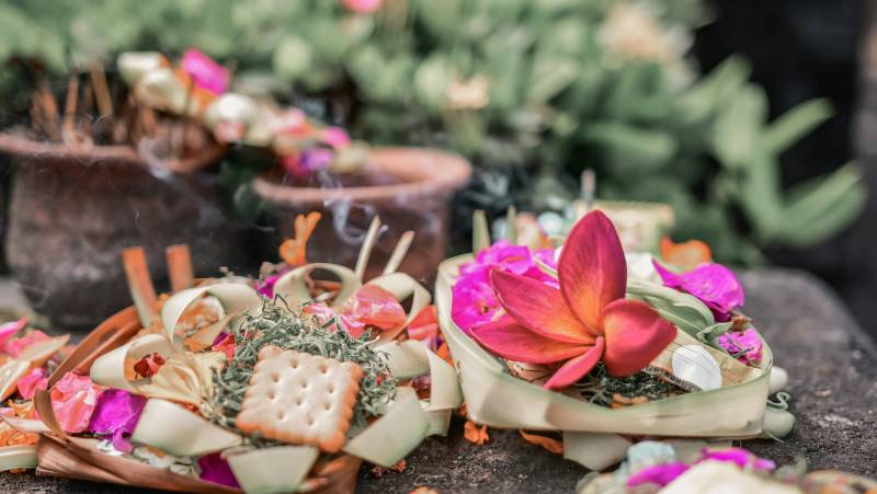 Signature Indonesia | The Sacred Wild Isles