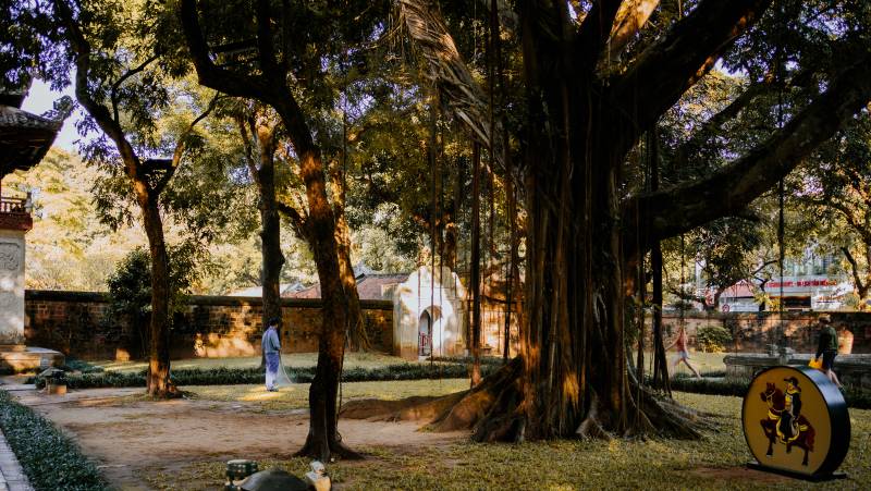 Signature Vietnam | In Fabric & Folklore