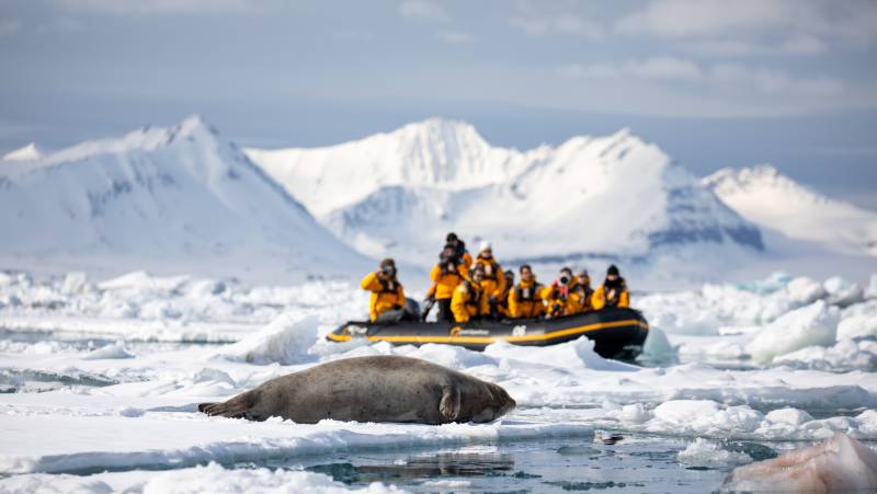 Svalbard in Spring: Sea Ice, Pristine Snow and Wildlife