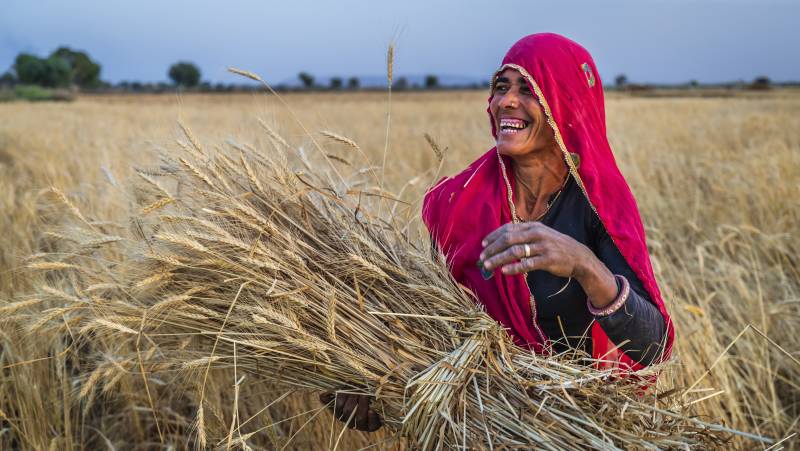 Rajasthan Highlights by Bike
