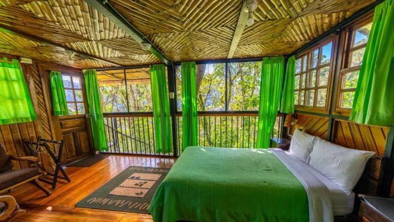 Ecuador Cloud Forest Add-on Tour