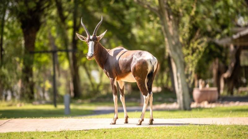Discover Namibia – Premium Adventure