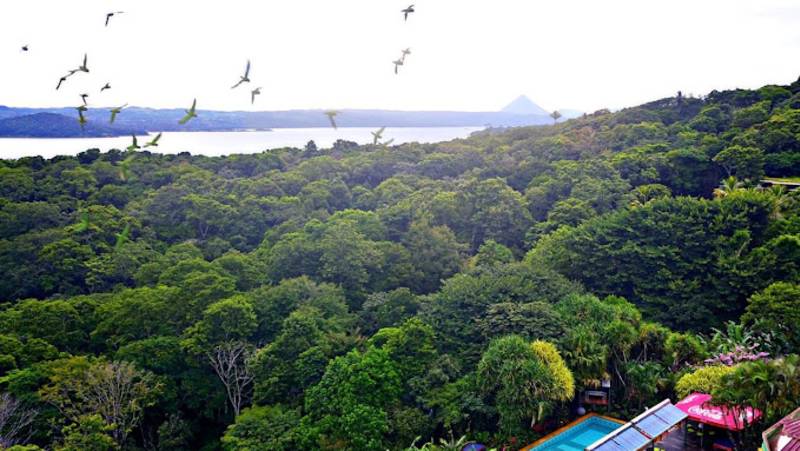 Lake Arenal Hotel, Brewery & Farm
