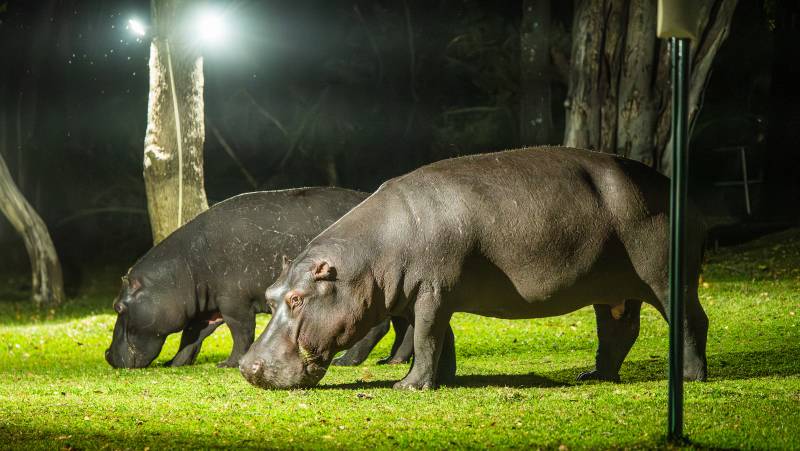 A'zambezi River Lodge