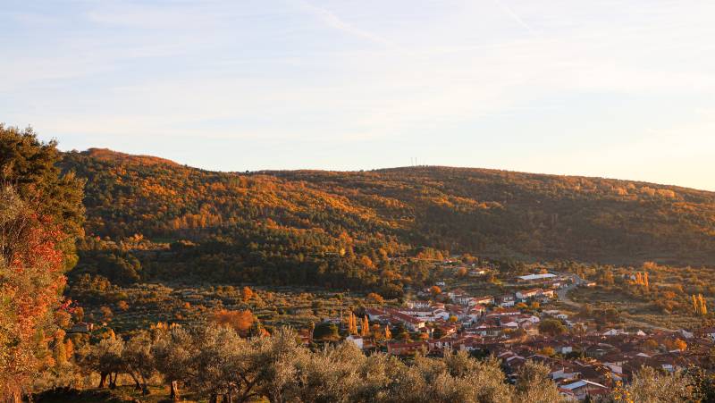 castañar san martin