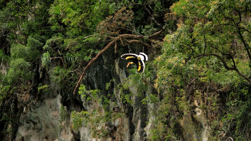 Signature Thailand | Karsts, Culture & Coast