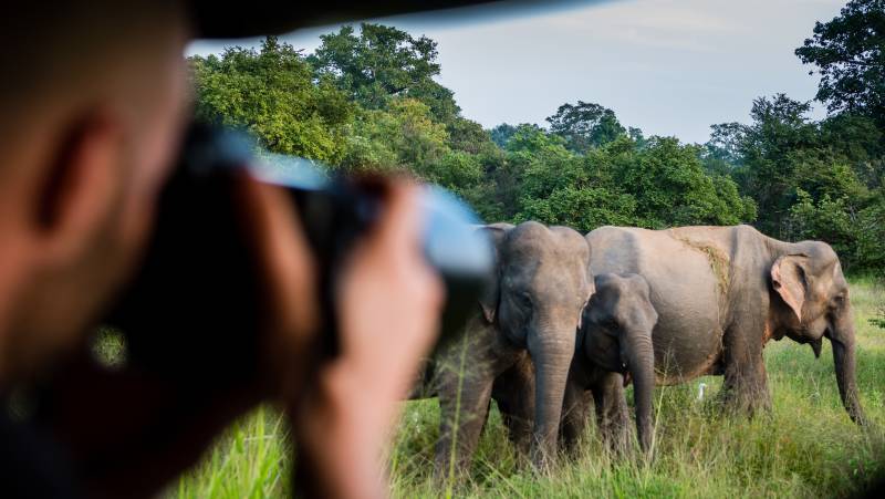 Yala National Park