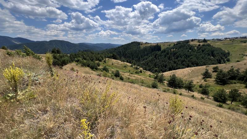 Hike Bulgaria’s Rodopi Mountains