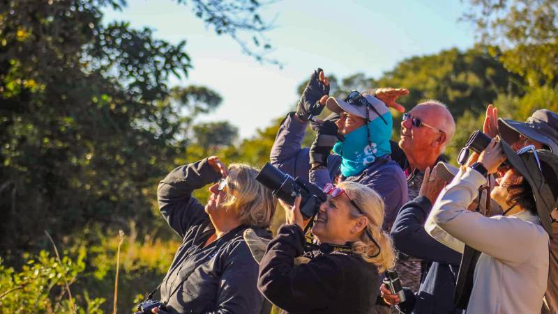 Pantanal – Land of the Jaguar