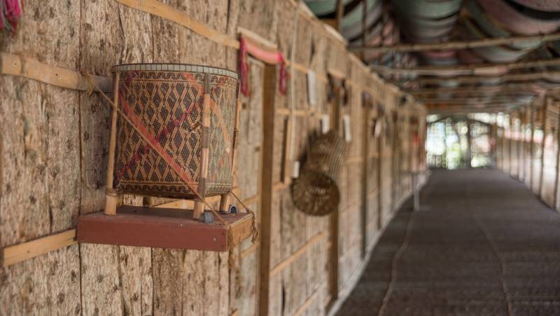 Borneo Family Wildlife Adventure