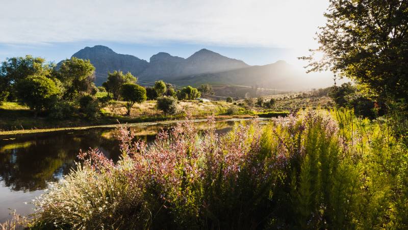 Cycling the Cape & Winelands