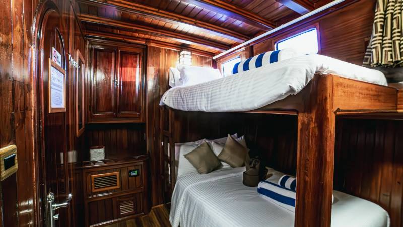 Marine Wildlife of the Maldives