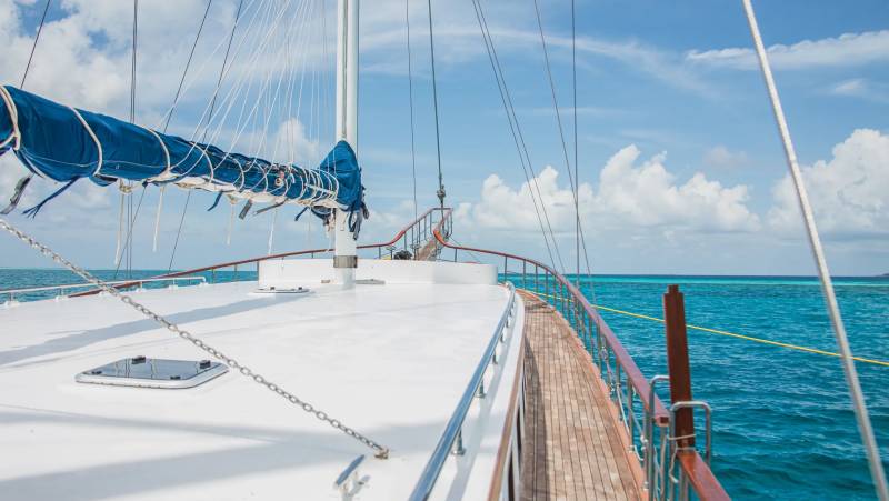 Marine Wildlife of the Maldives