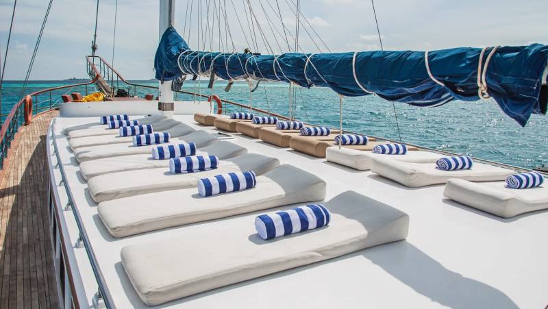 Marine Wildlife of the Maldives