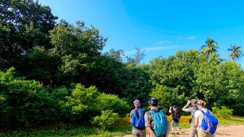 Borneo Wildlife Discoverer