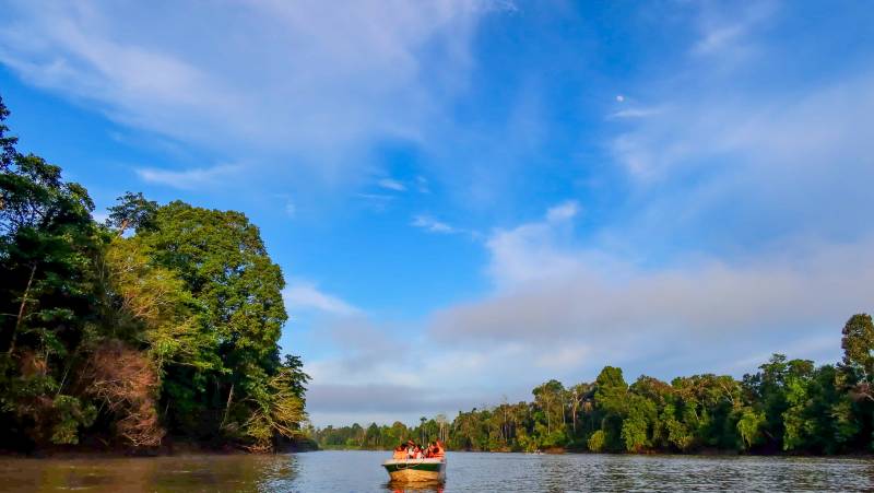 Borneo Family Wildlife Adventure