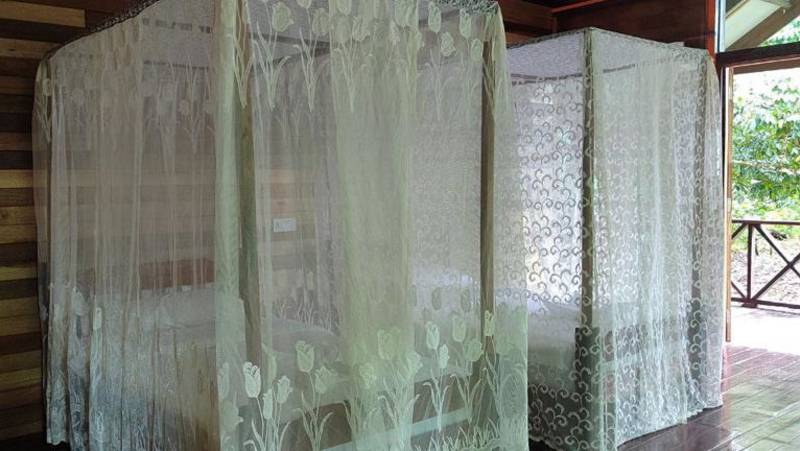 Borneo & the Malaysian Peninsula