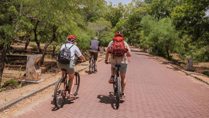 Sri Lankan Highlights