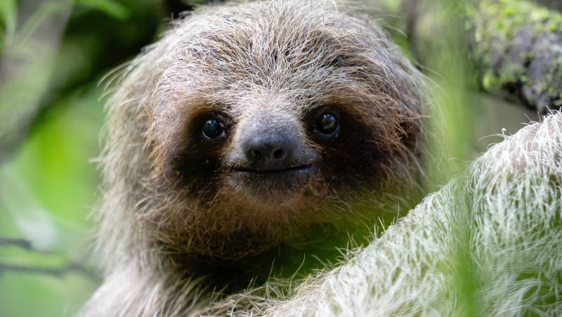 Costa Rica Adventure