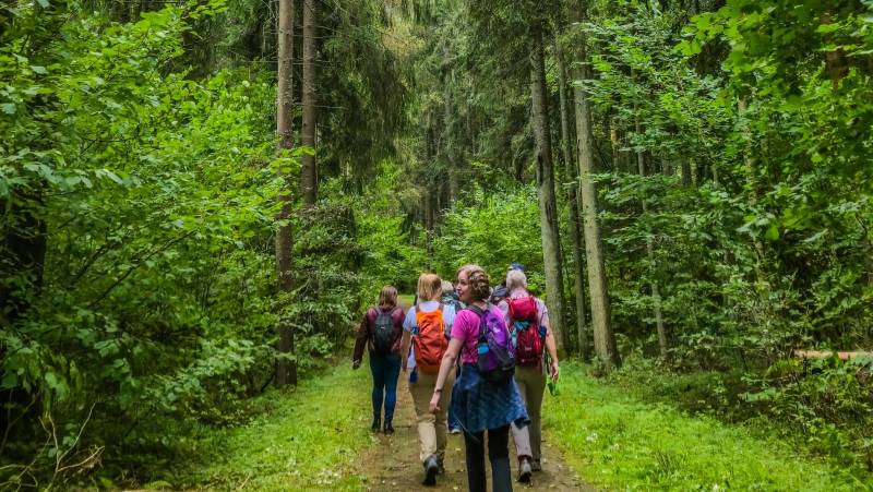 Walks of the Baltics and Finland