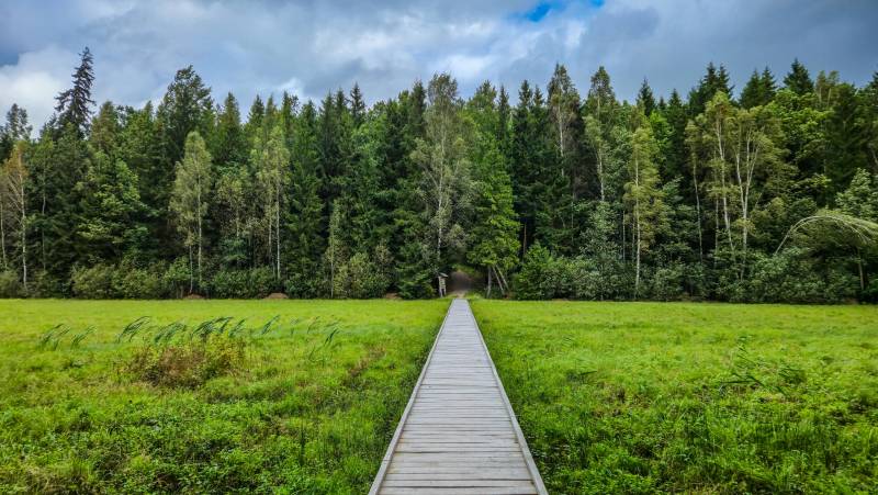 Walks of the Baltics and Finland