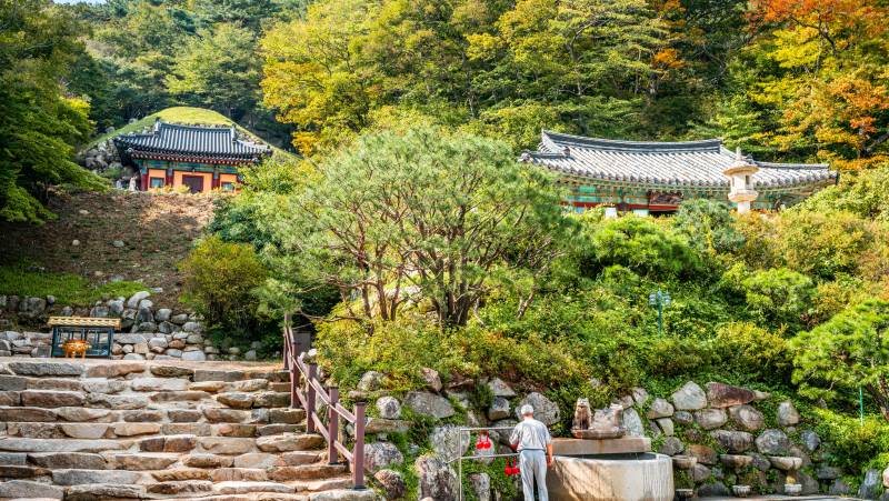 Discover South Korea