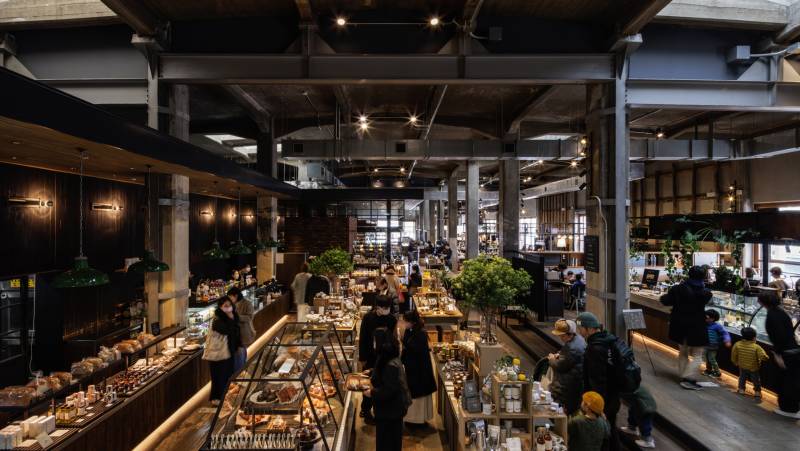 Japan Adventure: Kyushu & Shikoku