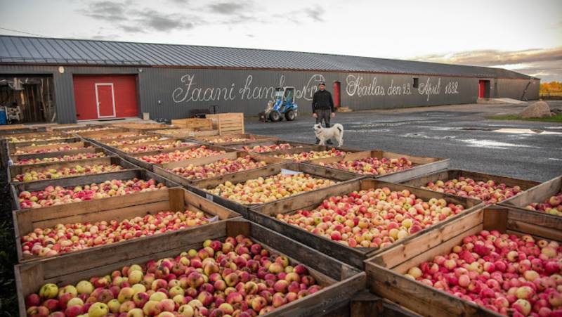 Baltic Highlights – Premium Adventure