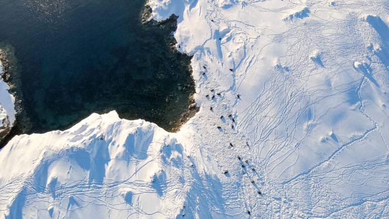 Antarctica by Helicopter: Crossing the Circle and the Peninsula