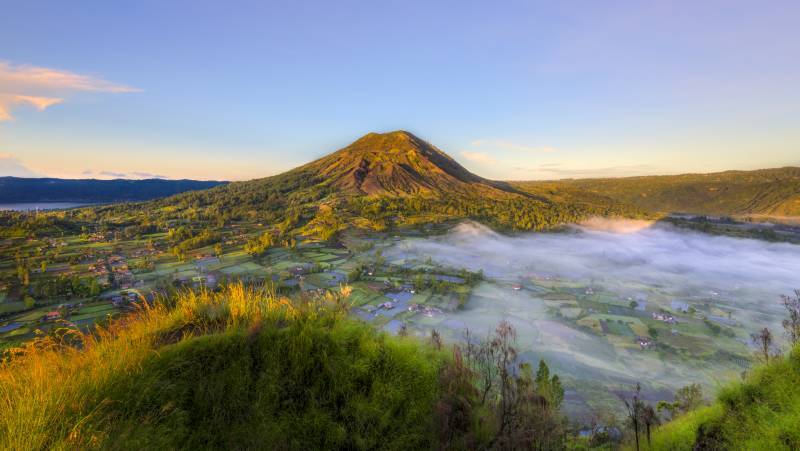 Primates & Dragons of Indonesia