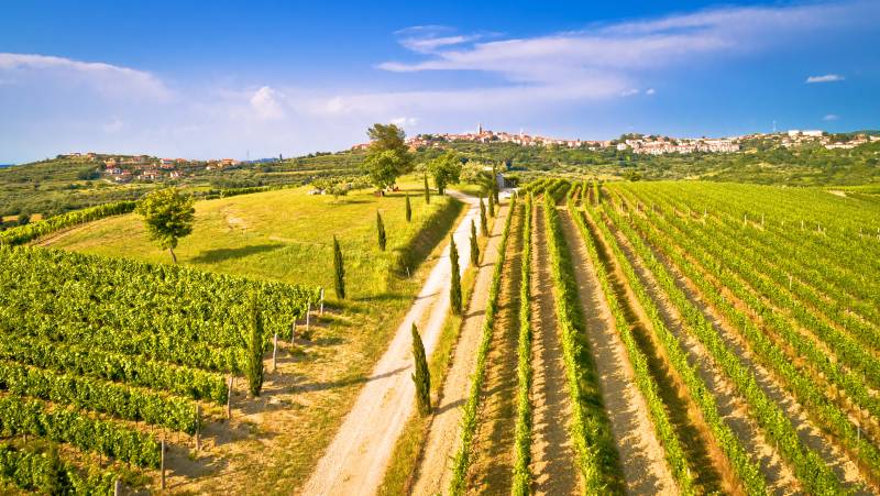 Cycling Croatia’s Istrian Peninsula