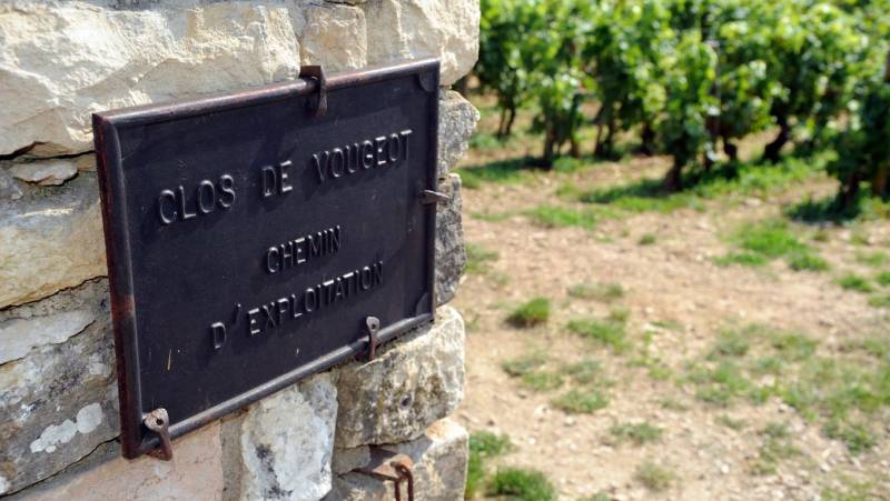 Discover Burgundy & Alsace – Premium Adventure