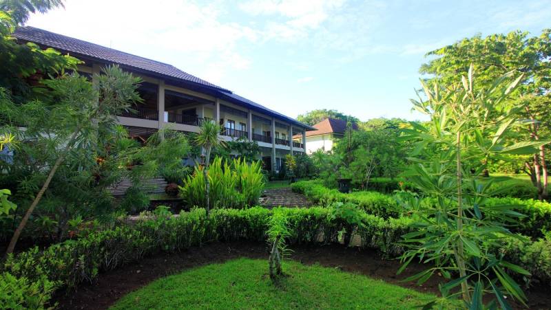 Primates & Dragons of Indonesia