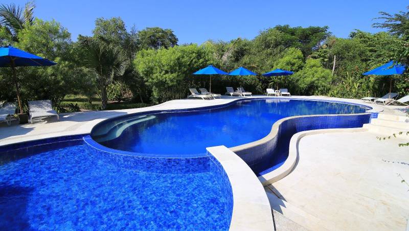 Primates & Dragons of Indonesia