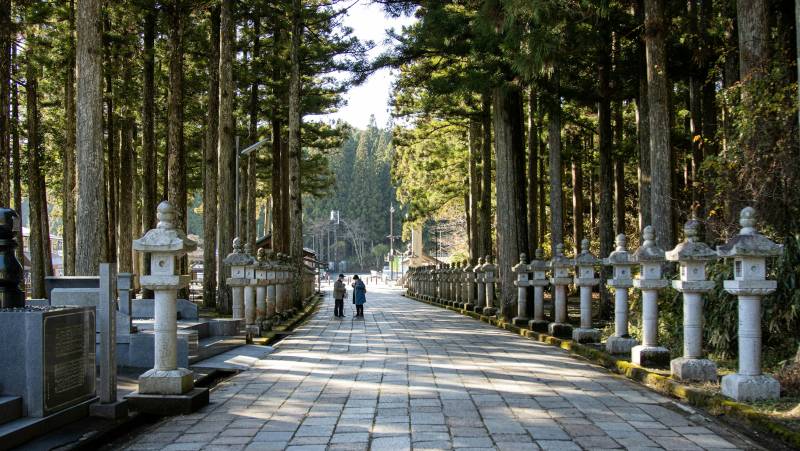 Signature Japan | Through Temples & Time