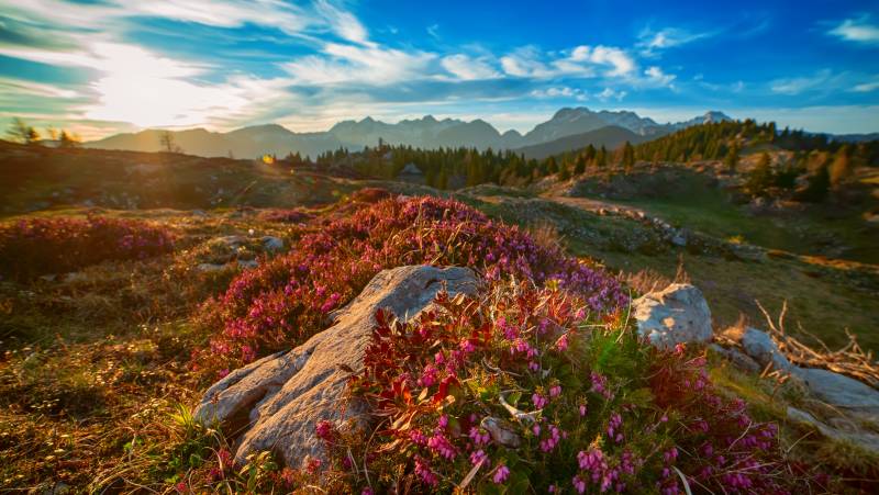 Walking the Slovenian Alps