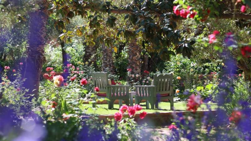 Signature Morocco | Echoes of the Minaret