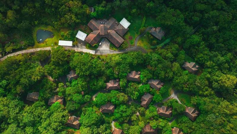 Signature Costa Rica | Where the Wild Answers