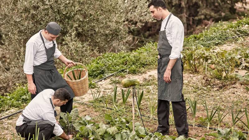 Signature Greece | Songs of the Lyre