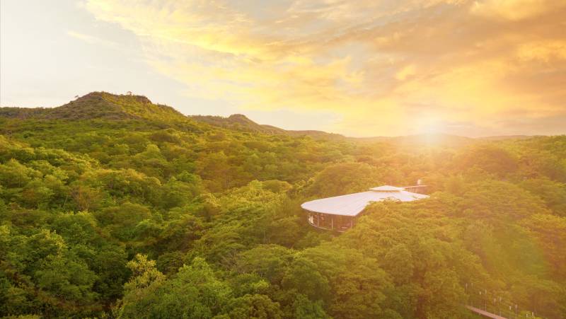 Signature Costa Rica | Where the Wild Answers