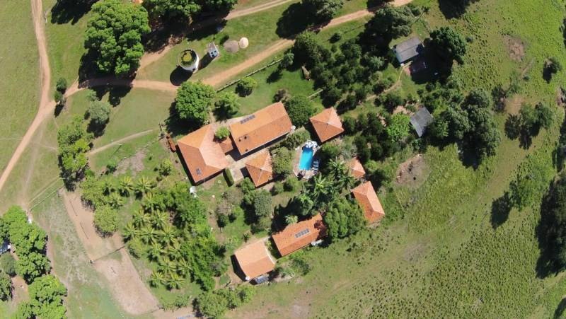 Brazil Wildlife Adventure